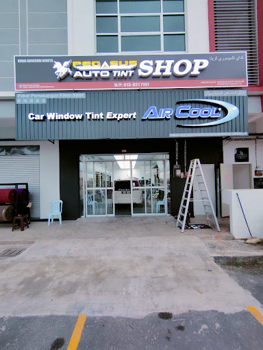 Pegasus Auto Tint Shop AirCool Raub