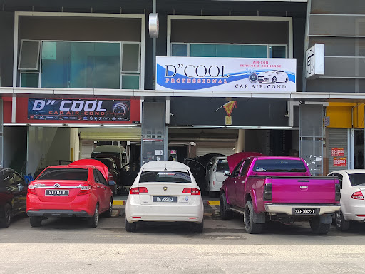 D"Cool Professional